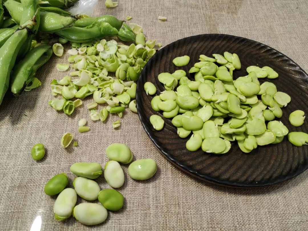 五香蚕豆怎么做_五香蚕豆的做法_Ann小叶子_豆果美食
