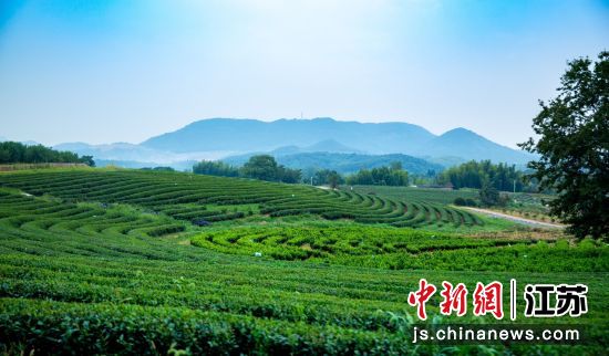 金坛茅山争创国家级旅游度假区 打造长三角“最美窗口”