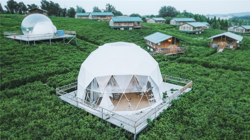 DJI_0124.jpg
